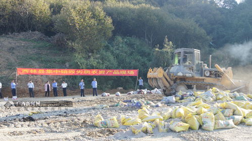 西林县集中销毁50余吨劣质农资产品 组图